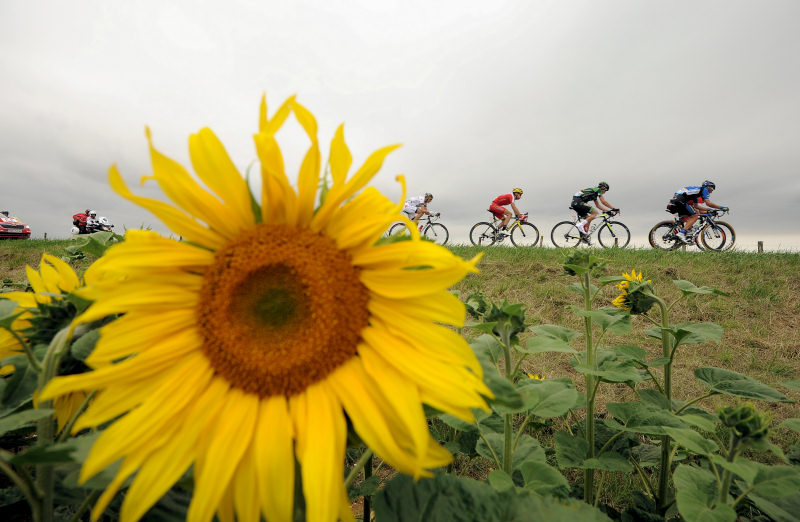 Tabuny kibiców w “brytyjskim” Tour de France 2014