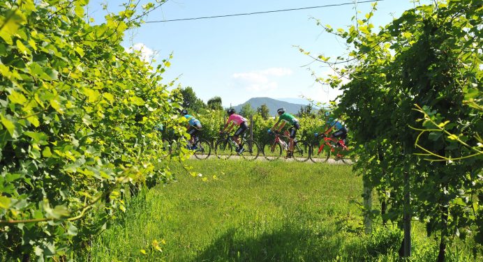 Giro d’Italia U23 2018. Nauczyłem się czegoś o sobie