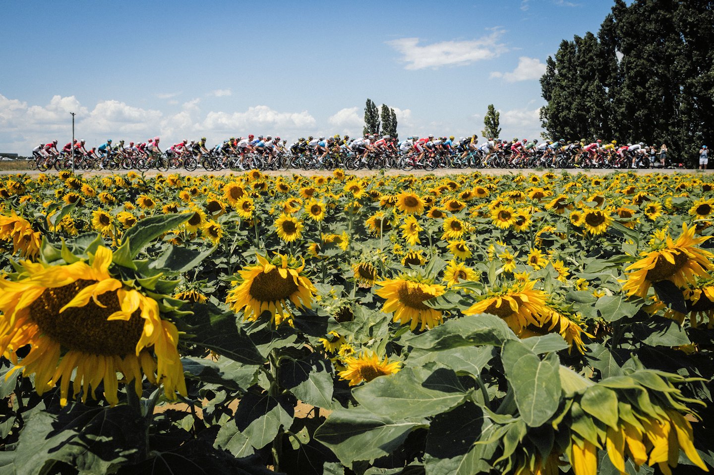Florencja chce zorganizować start Tour de France