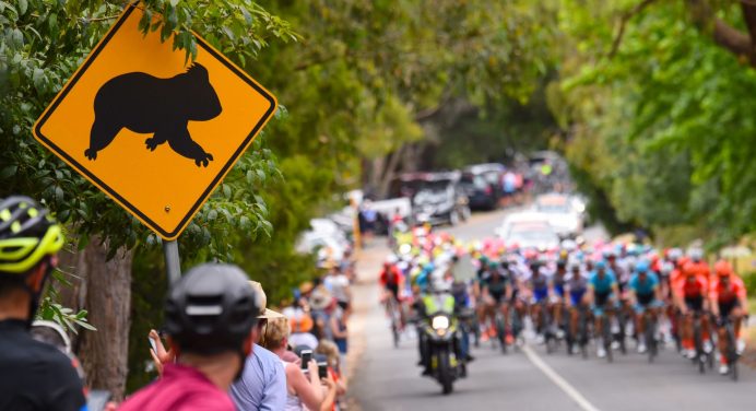 Tour Down Under 2019. Patrick Bevin wciąż na czele