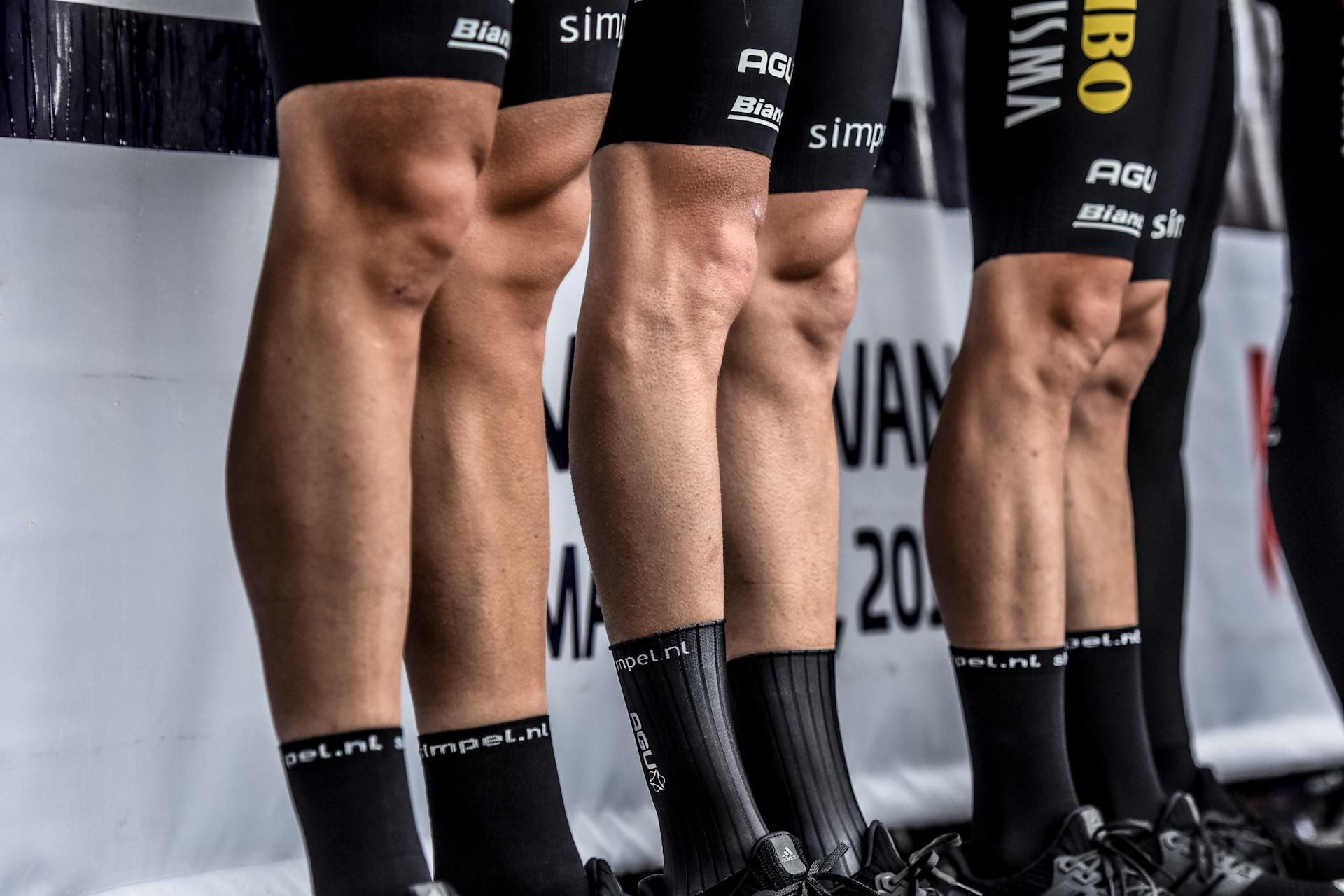 Tour de France 2019. Skład zespołu Jumbo-Visma