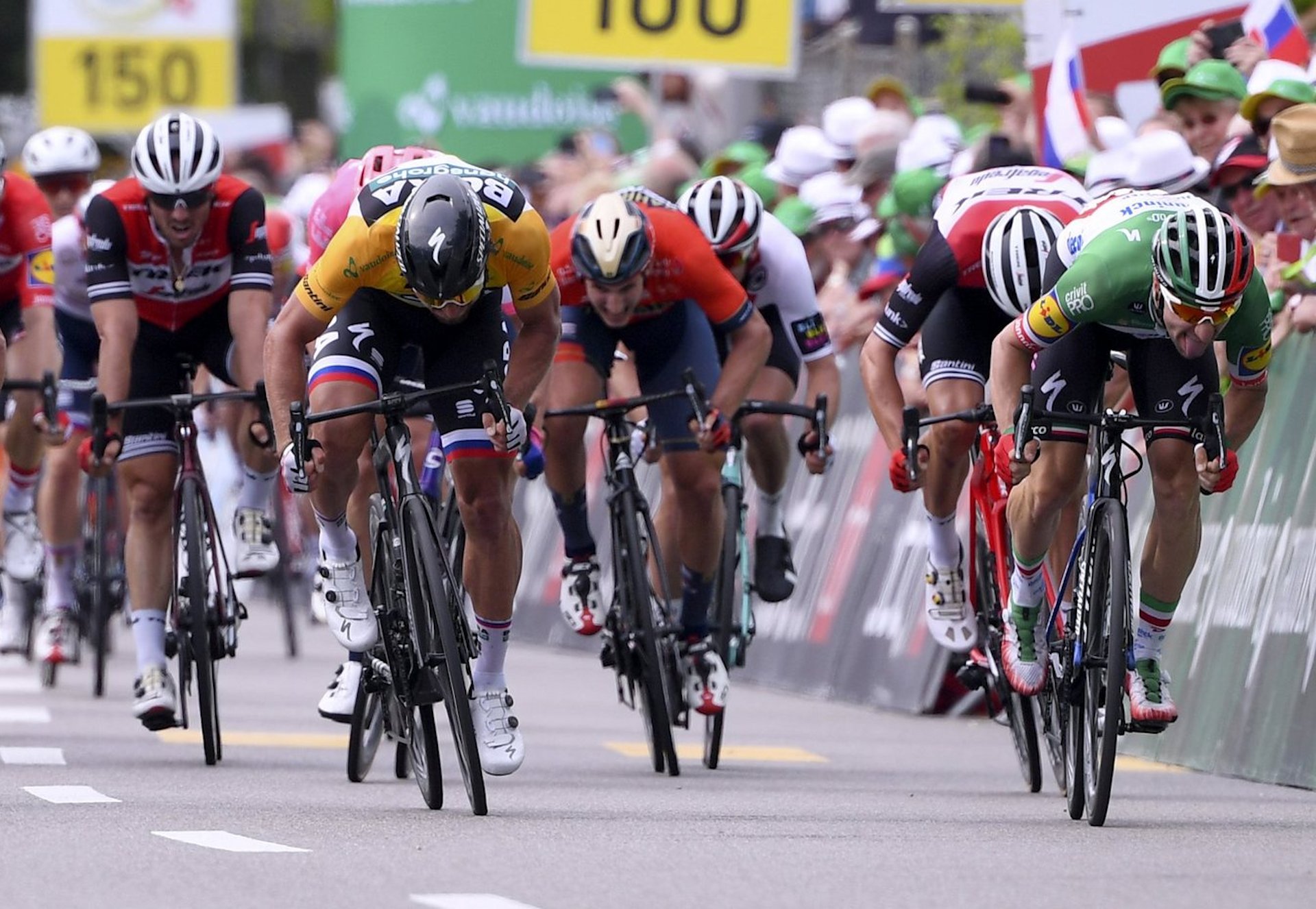 Tour de Suisse 2019: etap 4. Viviani najszybszy w Arlesheim