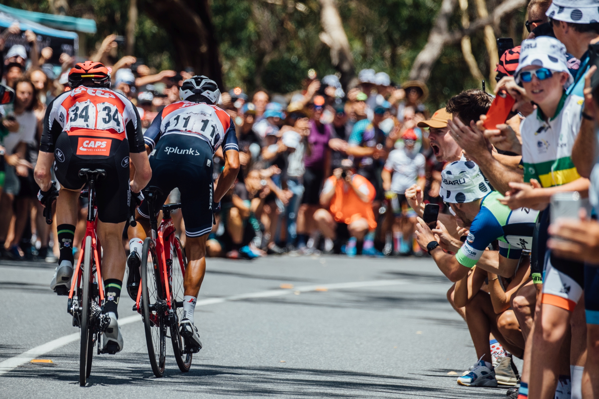 Tour Down Under i Cadel Evans Great Ocean Road Race nie w 2021 roku