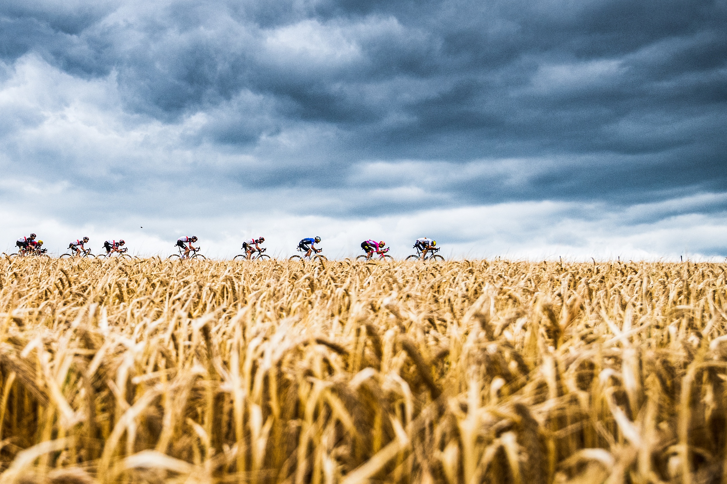 Peleton Tour de France na tle pól zboża i zachmurzonego nieba