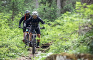 Dwaj rowerzyści suną przez las